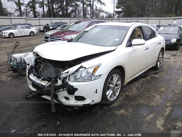 1N4AA51E89C803908 - 2009 NISSAN MAXIMA S/SV WHITE photo 2