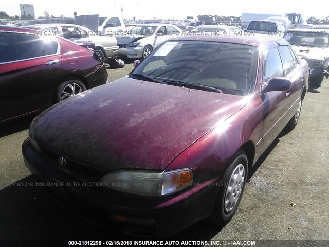 JT2BG12K2T0349277 - 1996 TOYOTA CAMRY DX/LE/XLE BURGUNDY photo 2