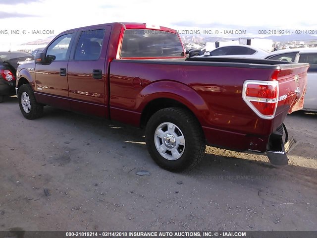 1FTFW1CT3EKE23025 - 2014 FORD F150 SUPERCREW RED photo 3