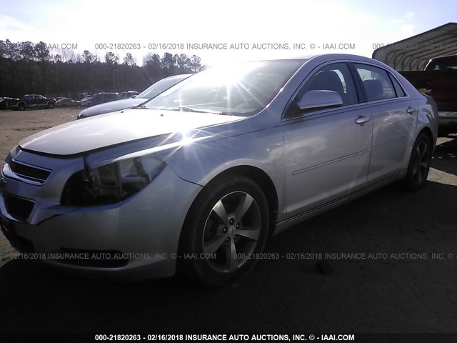 1G1ZC5EU1BF290720 - 2011 CHEVROLET MALIBU 1LT 银色 照片 2