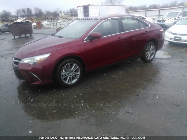 4T1BF1FK1HU616392 - 2017 TOYOTA CAMRY LE/XLE/SE/XSE წითელი ფოტო 2