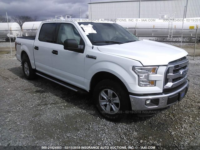 1FTEW1EF9FFB00370 - 2015 FORD F150 SUPERCREW WHITE photo 1