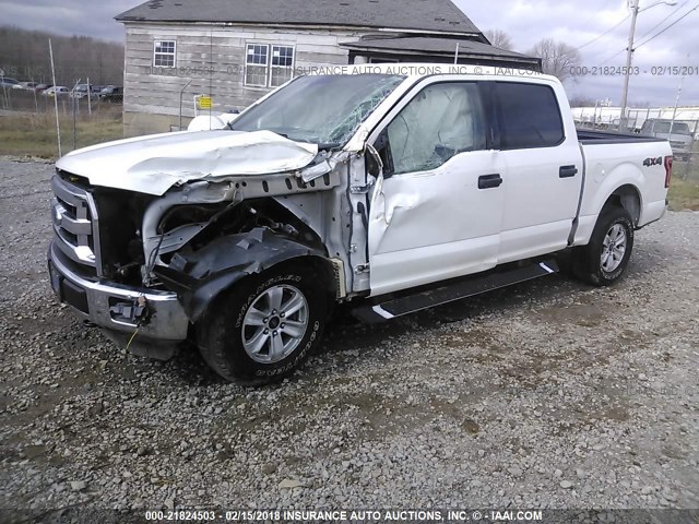 1FTEW1EF9FFB00370 - 2015 FORD F150 SUPERCREW WHITE photo 2