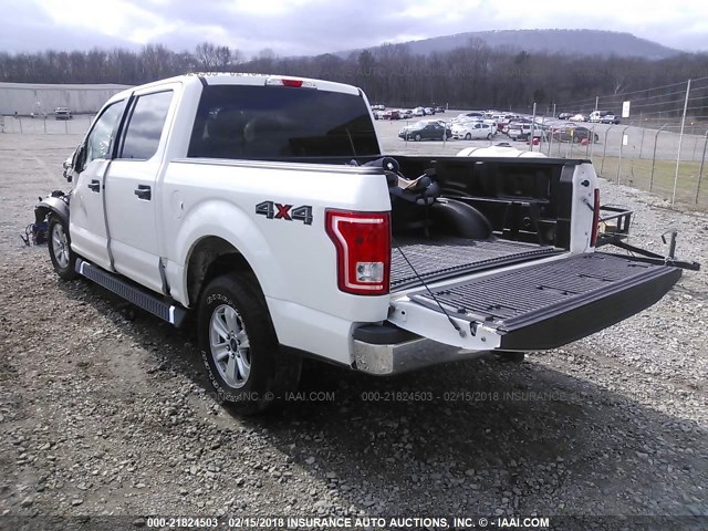 1FTEW1EF9FFB00370 - 2015 FORD F150 SUPERCREW WHITE photo 3
