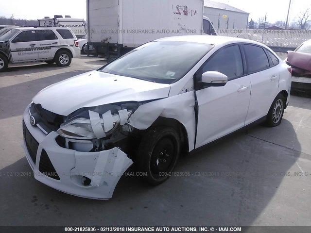 1FADP3F21DL125218 - 2013 FORD FOCUS WHITE photo 2