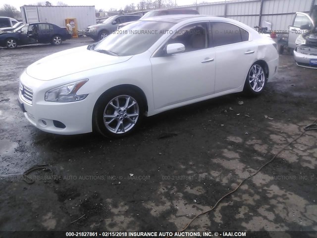 1N4AA5AP8EC449190 - 2014 NISSAN MAXIMA S/SV WHITE photo 2