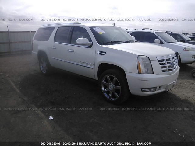 1GYFK66807R343914 - 2007 CADILLAC ESCALADE ESV WHITE photo 1