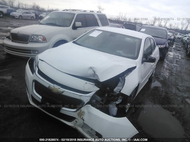 1G11B5SL8EF270609 - 2014 CHEVROLET MALIBU LS Ağ foto 2