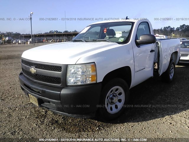 1GCEC14X49Z204030 - 2009 CHEVROLET SILVERADO C1500 WHITE photo 2