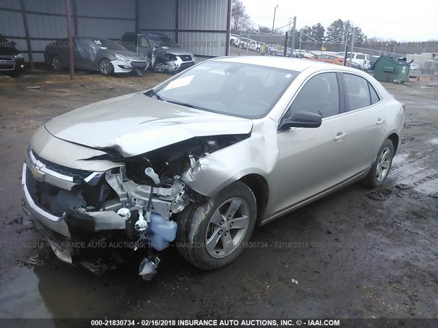 1G11B5SL3EF123081 - 2014 CHEVROLET MALIBU LS 金色 照片 2