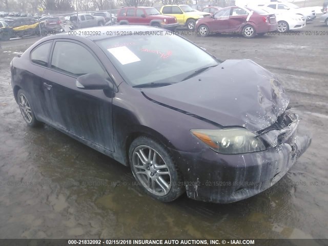 JTKDE167480226043 - 2008 TOYOTA SCION TC იასამნისფერი ფოტო 1