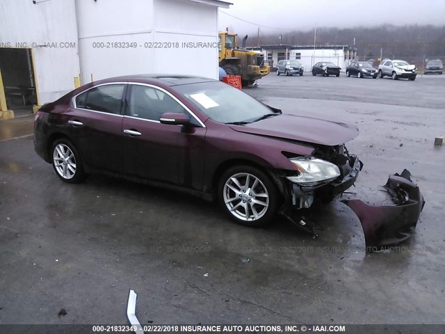 1N4AA51E39C808031 - 2009 NISSAN MAXIMA S/SV BURGUNDY photo 1