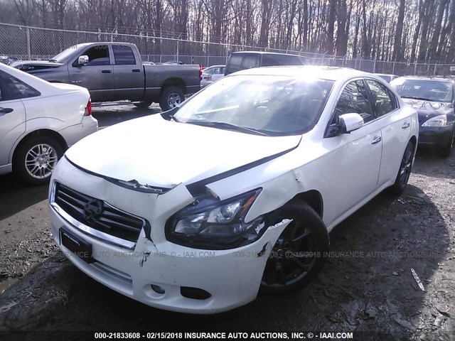 1N4AA5AP4EC906853 - 2014 NISSAN MAXIMA S/SV WHITE photo 2