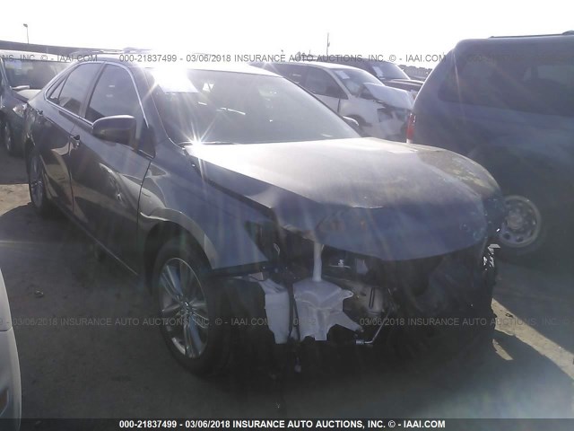 4T1BF1FKXFU082094 - 2015 TOYOTA CAMRY LE/XLE/SE/XSE Gris photo 1
