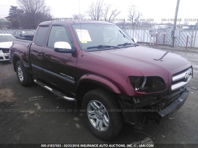 5TBBT44186S473864 - 2006 TOYOTA TUNDRA ACCESS CAB SR5 BURGUNDY photo 1