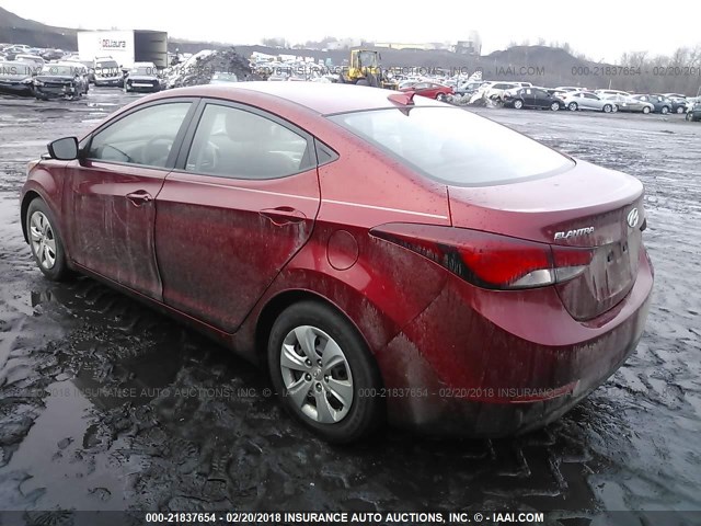 5NPDH4AE1GH669337 - 2016 HYUNDAI ELANTRA SE/SPORT/LIMITED RED photo 3