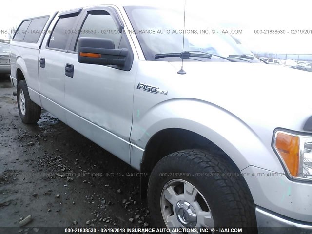 1FTRW14859FA62824 - 2009 FORD F150 SUPERCREW SILVER photo 6