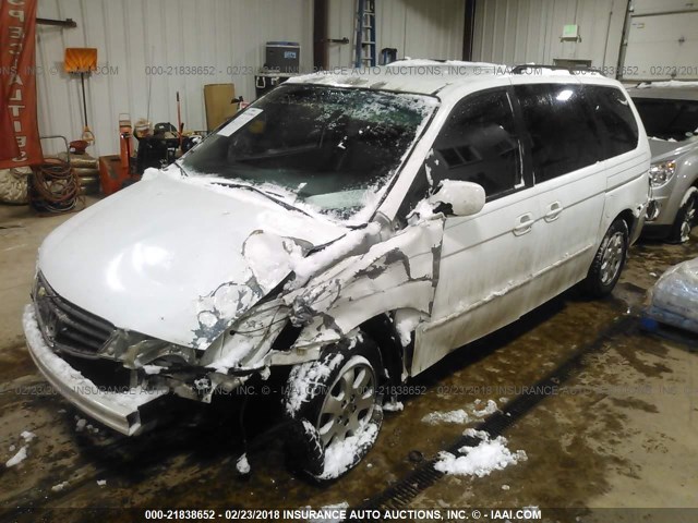 5FNRL18703B051266 - 2003 HONDA ODYSSEY EXL WHITE photo 2