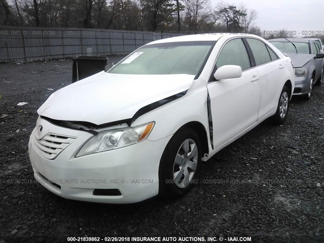 4T1BE46K29U912009 - 2009 TOYOTA CAMRY SE/LE/XLE WHITE photo 2