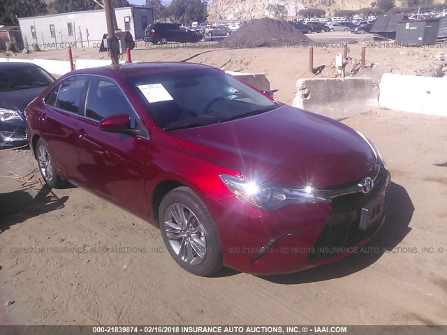 4T1BF1FK1HU814292 - 2017 TOYOTA CAMRY LE/XLE/SE/XSE RED photo 1