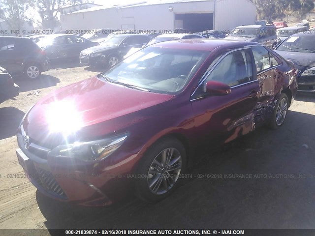 4T1BF1FK1HU814292 - 2017 TOYOTA CAMRY LE/XLE/SE/XSE RED photo 2