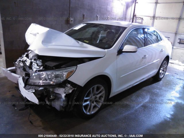 1G11C5SL3FU147181 - 2015 CHEVROLET MALIBU 1LT 白色 照片 2