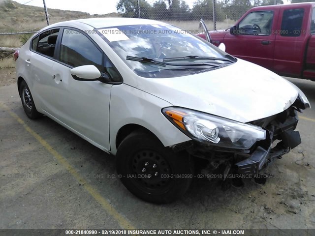 KNAFK4A63F5333851 - 2015 KIA FORTE LX TAN photo 1