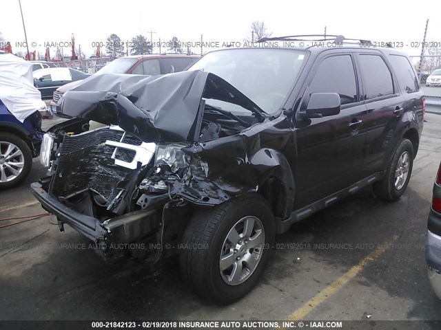 1FMCU0E73BKB63591 - 2011 FORD ESCAPE LIMITED BLACK photo 2