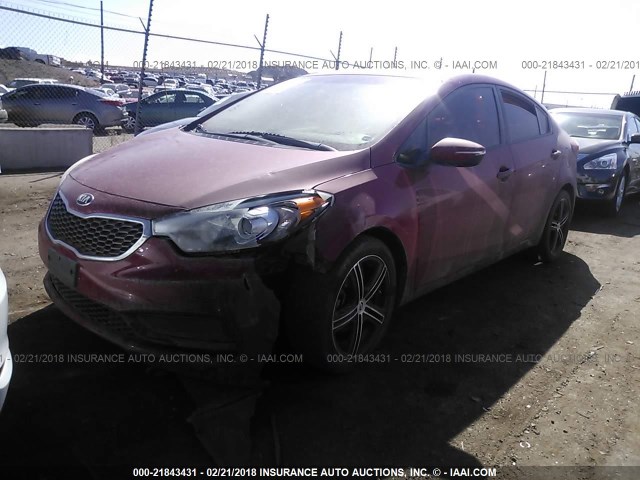 KNAFX4A60F5339690 - 2015 KIA FORTE LX RED photo 2