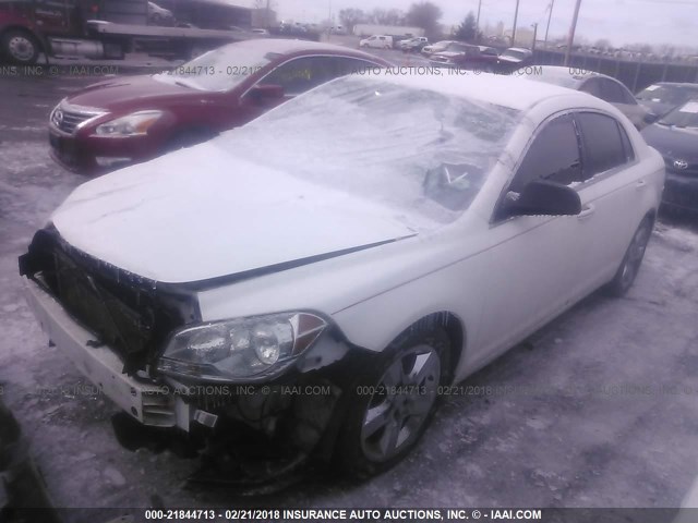 1G1ZA5EU1CF359834 - 2012 CHEVROLET MALIBU LS 白色 照片 2