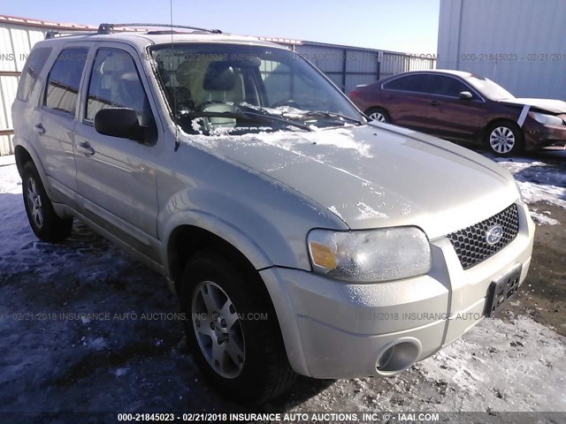 1FMCU94125KA80823 - 2005 FORD ESCAPE LIMITED GOLD photo 1