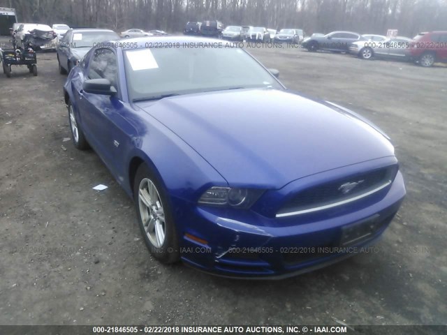 1ZVBP8AM3E5256337 - 2014 FORD MUSTANG BLUE photo 1