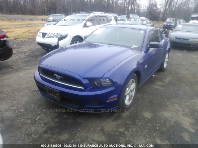 1ZVBP8AM3E5256337 - 2014 FORD MUSTANG BLUE photo 2