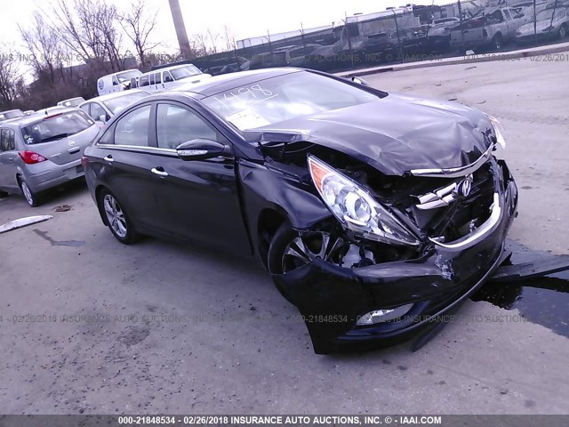 5NPEC4AC0DH698924 - 2013 HYUNDAI SONATA SE/LIMITED BLACK photo 1