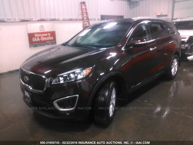 5XYPGDA31JG358858 - 2018 KIA SORENTO LX/L BURGUNDY photo 2