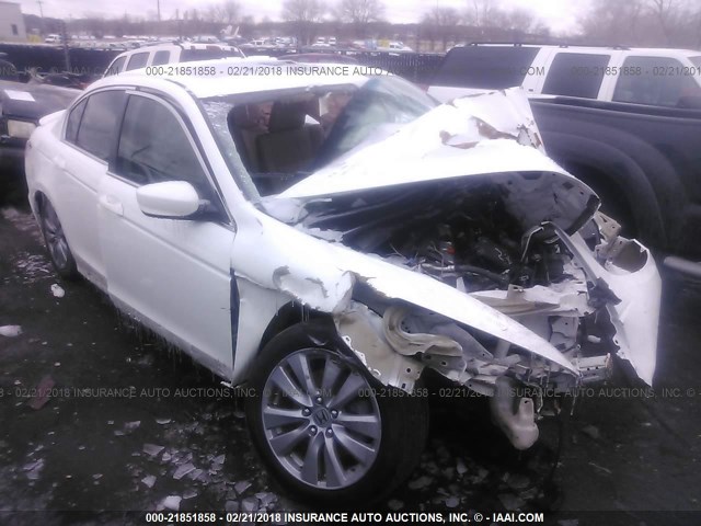 1HGCP2F8XBA011894 - 2011 HONDA ACCORD EXL WHITE photo 1