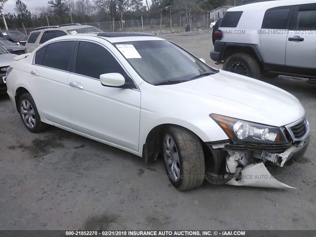 5KBCP3F89AB012837 - 2010 HONDA ACCORD EXL WHITE photo 1