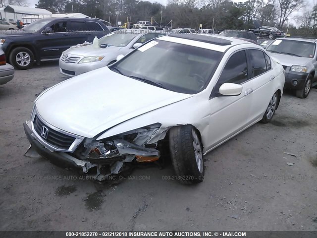 5KBCP3F89AB012837 - 2010 HONDA ACCORD EXL WHITE photo 2