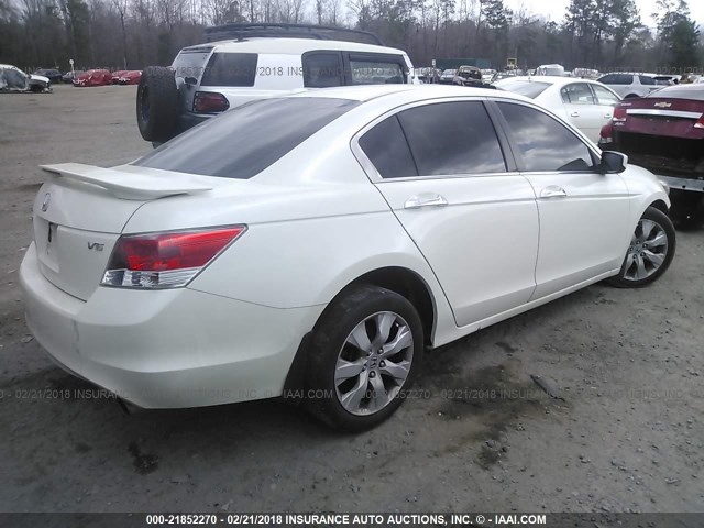 5KBCP3F89AB012837 - 2010 HONDA ACCORD EXL WHITE photo 4