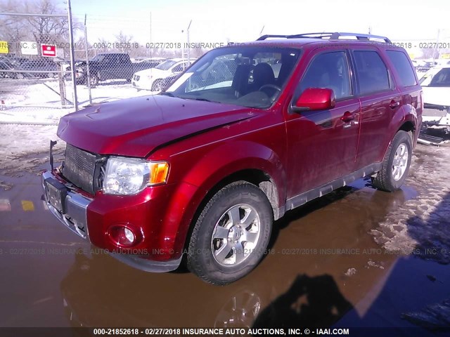 1FMCU9E78CKC05954 - 2012 FORD ESCAPE LIMITED RED photo 2