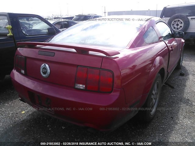 1ZVFT82H955230355 - 2005 FORD MUSTANG GT RED photo 4