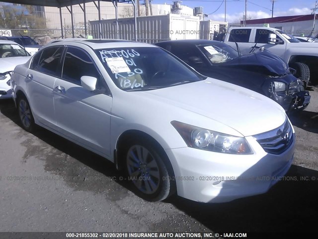 1HGCP3F88BA002679 - 2011 HONDA ACCORD EXL WHITE photo 1