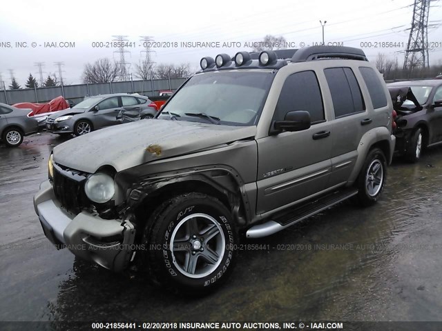 1J4GL38K43W645503 - 2003 JEEP LIBERTY RENEGADE Pewter photo 2