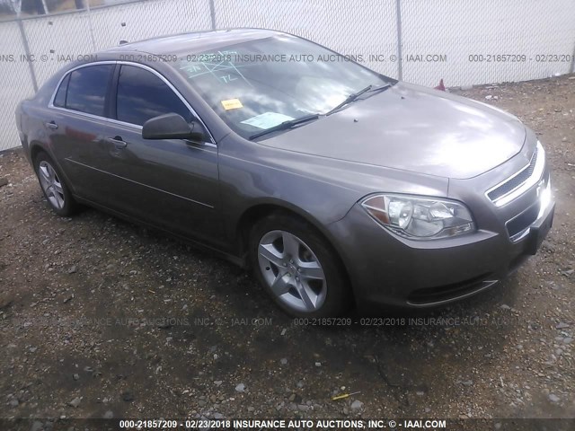 1G1ZB5E00CF251165 - 2012 CHEVROLET MALIBU LS 棕色 照片 1