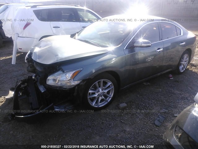 1N4AA5APXAC837533 - 2010 NISSAN MAXIMA S/SV BLUE photo 2