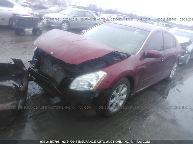 1N4BA41E27C862383 - 2007 NISSAN MAXIMA SE/SL MAROON photo 2