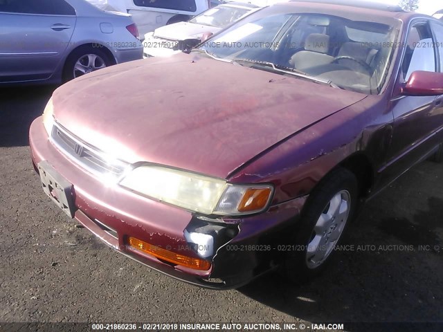 1HGCD5652TA092343 - 1996 HONDA ACCORD EX/EX-R BURGUNDY photo 6