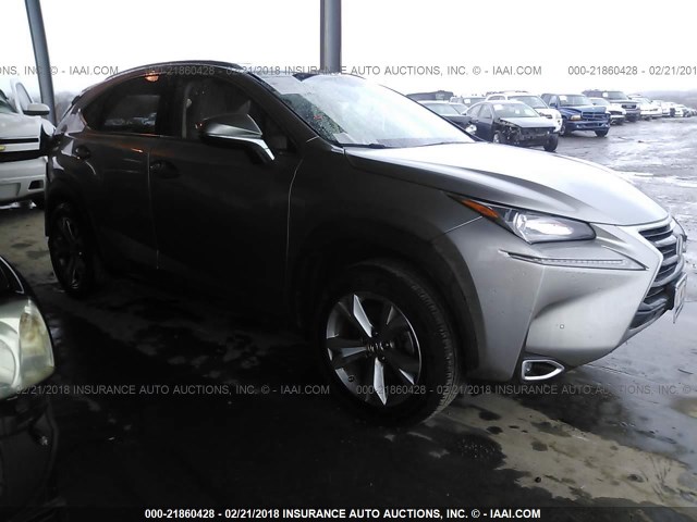 JTJBARBZ5H2144033 - 2017 LEXUS NX 200T/BASE/F SPORT GRAY photo 1