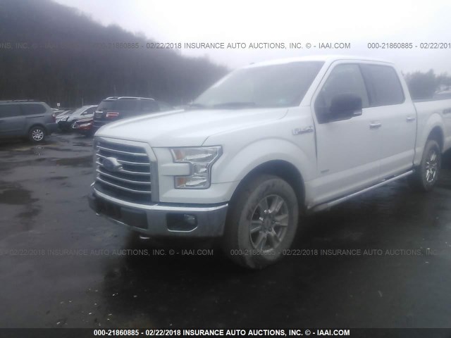 1FTEW1EG5FFB39661 - 2015 FORD F150 SUPERCREW WHITE photo 2