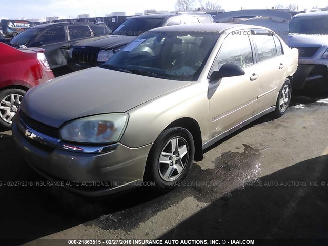 1G1ZT54815F215038 - 2005 CHEVROLET MALIBU LS 金色 照片 2